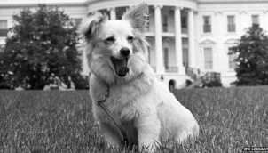 A cold war puppy that the Kennedys loved