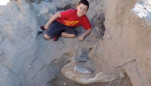 9-yr old boy from New Mexico trips, falls and discovers 1.2 million yearrs old fossil