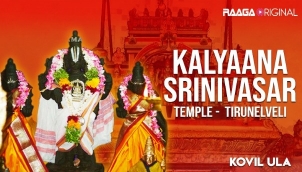 Kalyaana Srinivasar Temple, Tirunelveli