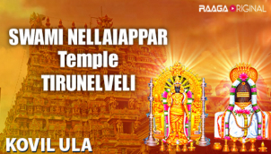 Swami Nellaiappar Temple - Tirunelveli